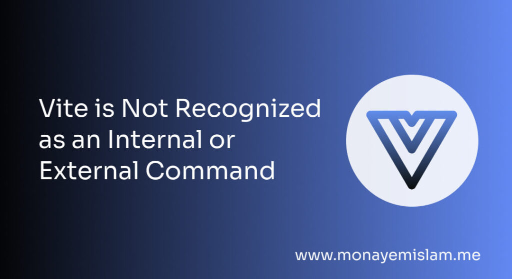 Quick fix vite is not recognized as an internal or external command